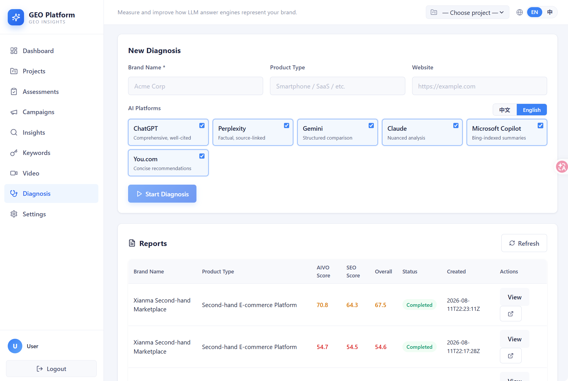 GEO+SEO Diagnosis